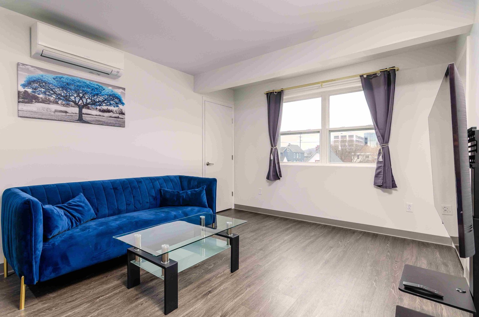 deluxe 2 BHK Johnson City apartments luxury interiors
